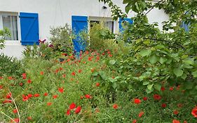 Maisonnette de Jardin